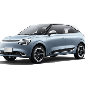 Dongfeng Box 42.3kWh ev launch edition 70kW aut
