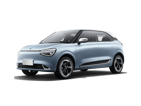 Dongfeng Box 42.3kWh ev launch edition 70kW aut